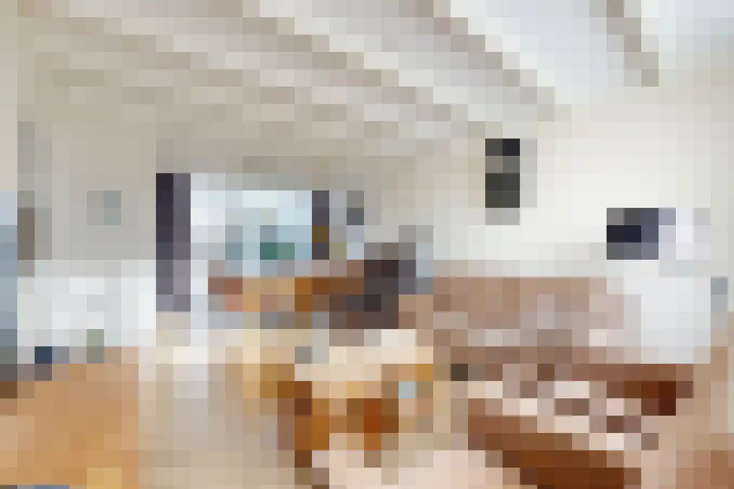 Kerkpad 1 Zevenbergschen Hoek thumbnail 12