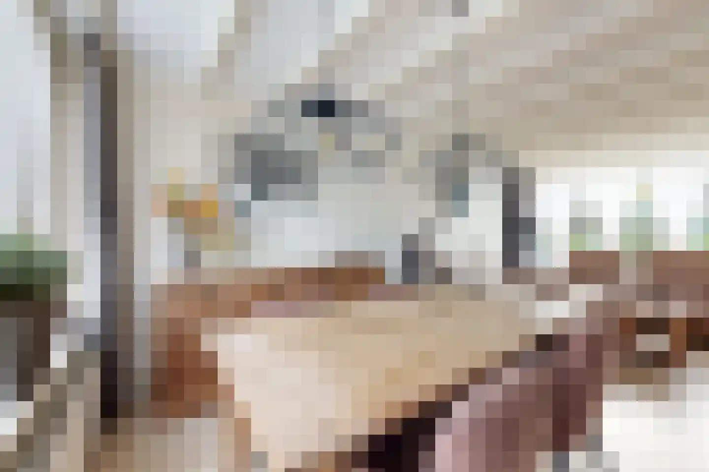 Kerkpad 1 Zevenbergschen Hoek thumbnail 17