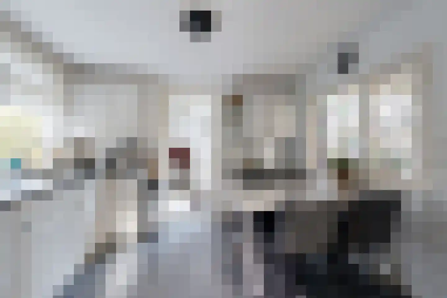 Kerkpad 1 Zevenbergschen Hoek thumbnail 18