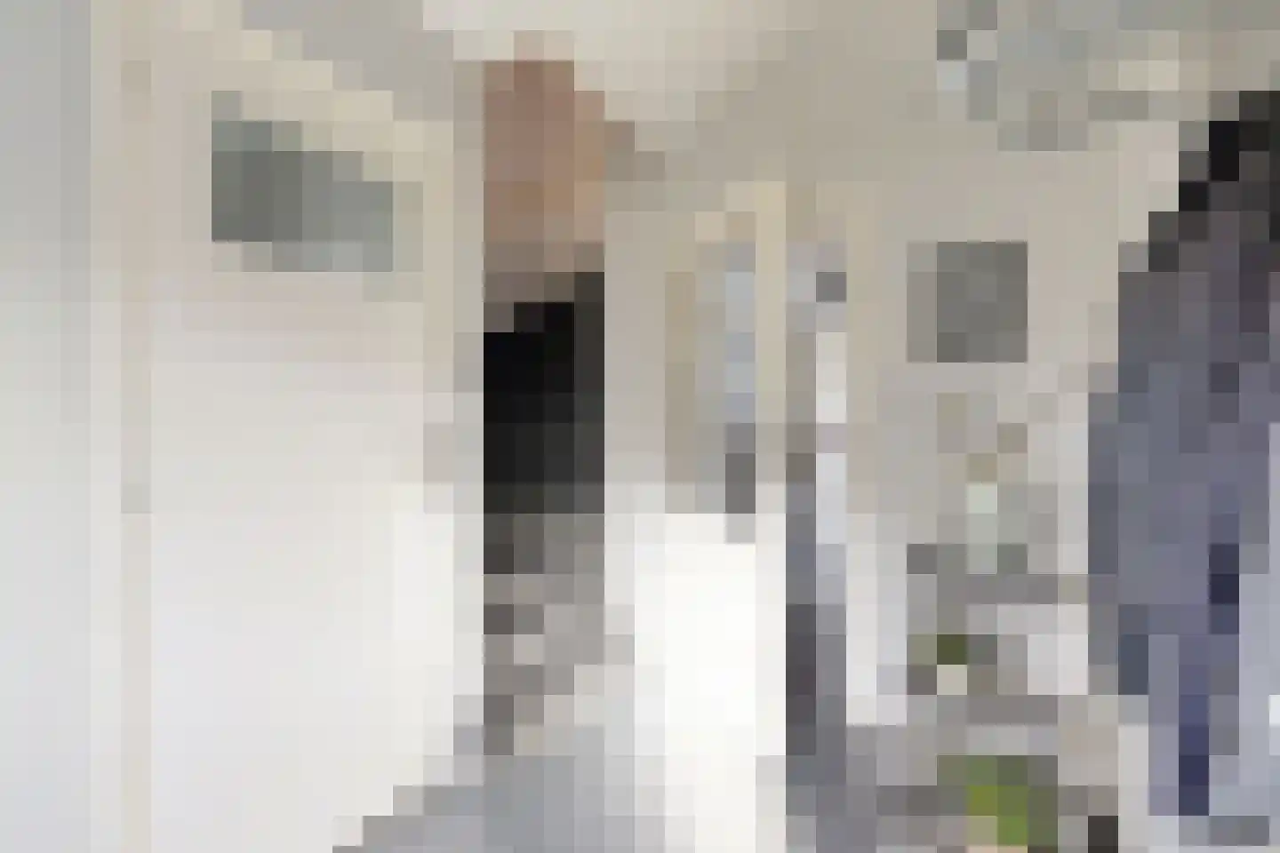 Kerkpad 1 Zevenbergschen Hoek thumbnail 9