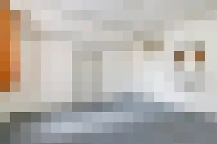 Kerkpad 10 Esbeek thumbnail 22
