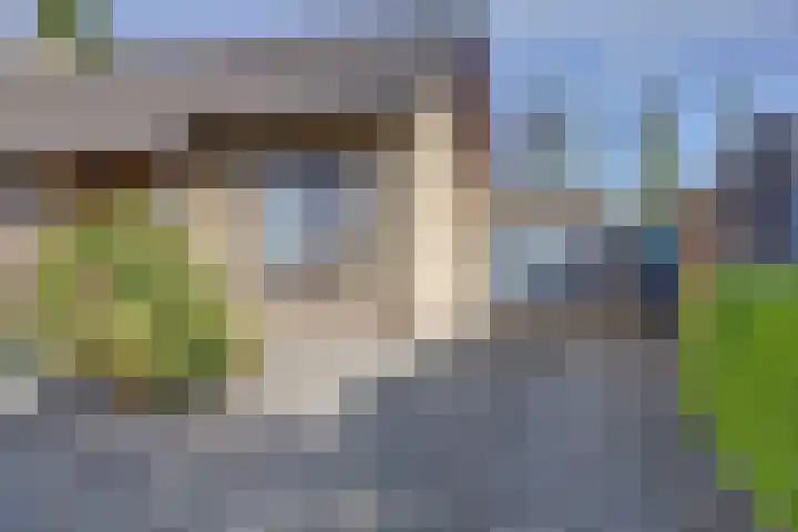 Kerkpad 10 Esbeek thumbnail 24