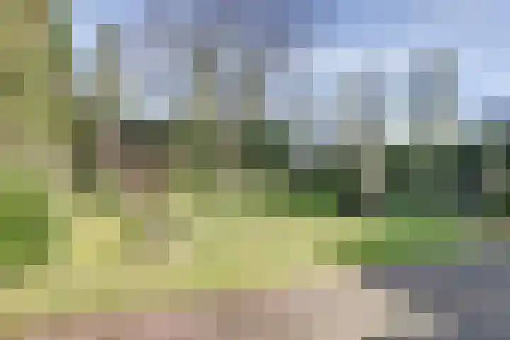 Kerkpad 10 Esbeek thumbnail 27