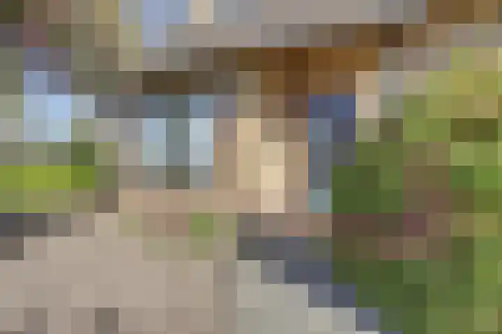 Kerkpad 10 Esbeek thumbnail 6