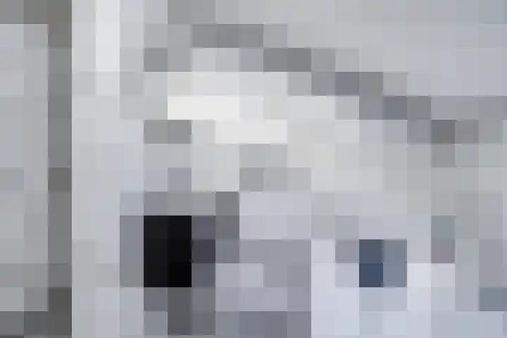 Kerkpad 10 Oldehove thumbnail 23