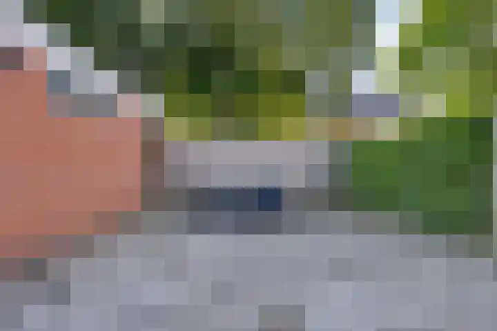 Kerkpad 10 Oldehove thumbnail 38