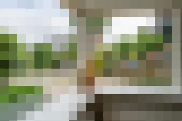 Kerkpad 12 Blaricum thumbnail 11