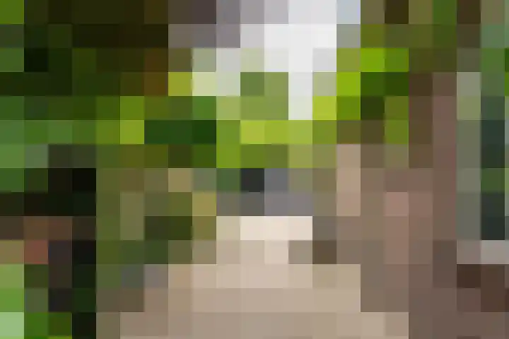 Kerkpad 12 Blaricum thumbnail 4