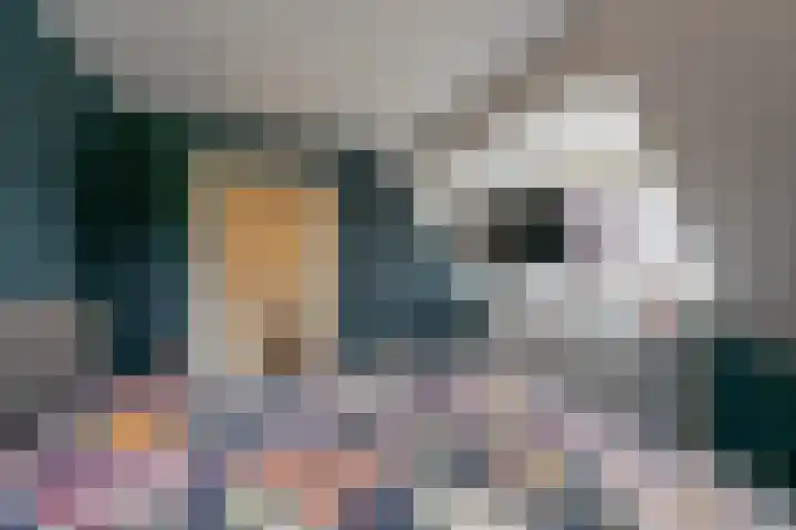 Kerkpad 12 Blaricum thumbnail 42