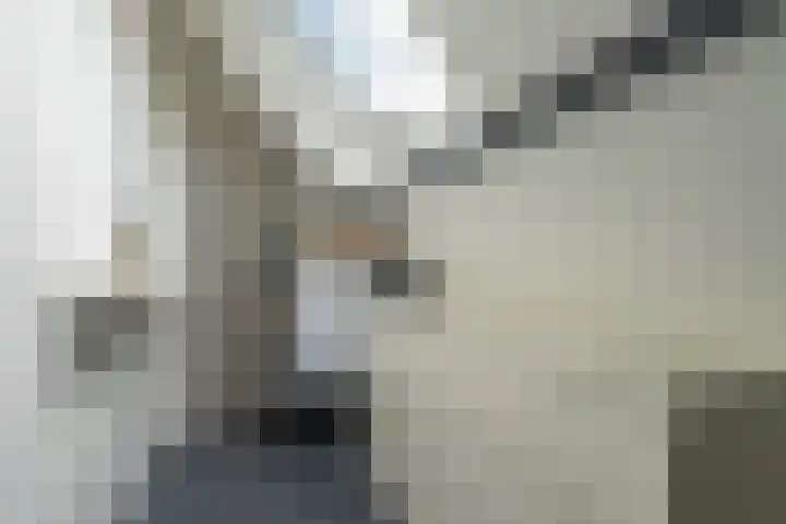 Kerkpad 12 Blaricum thumbnail 49