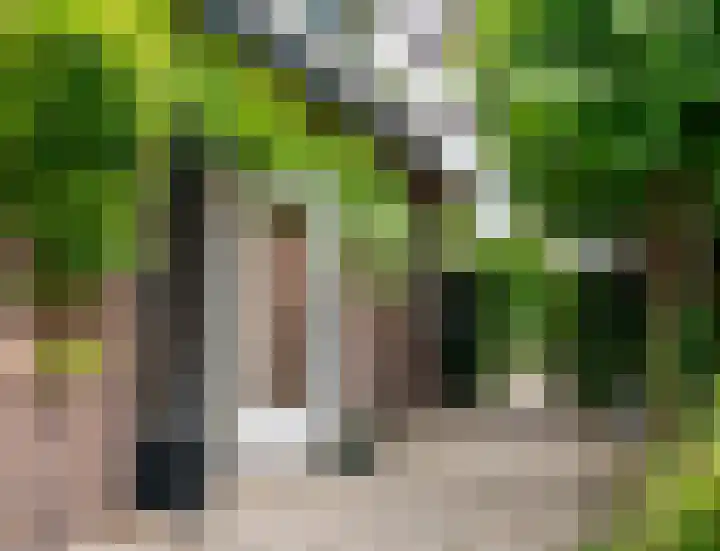 Kerkpad 12 Blaricum thumbnail 5