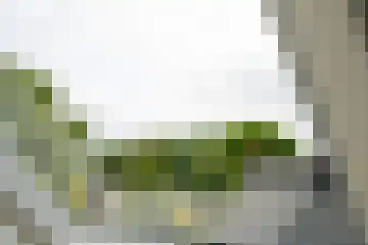 Kerkpad 12 Blaricum thumbnail 52