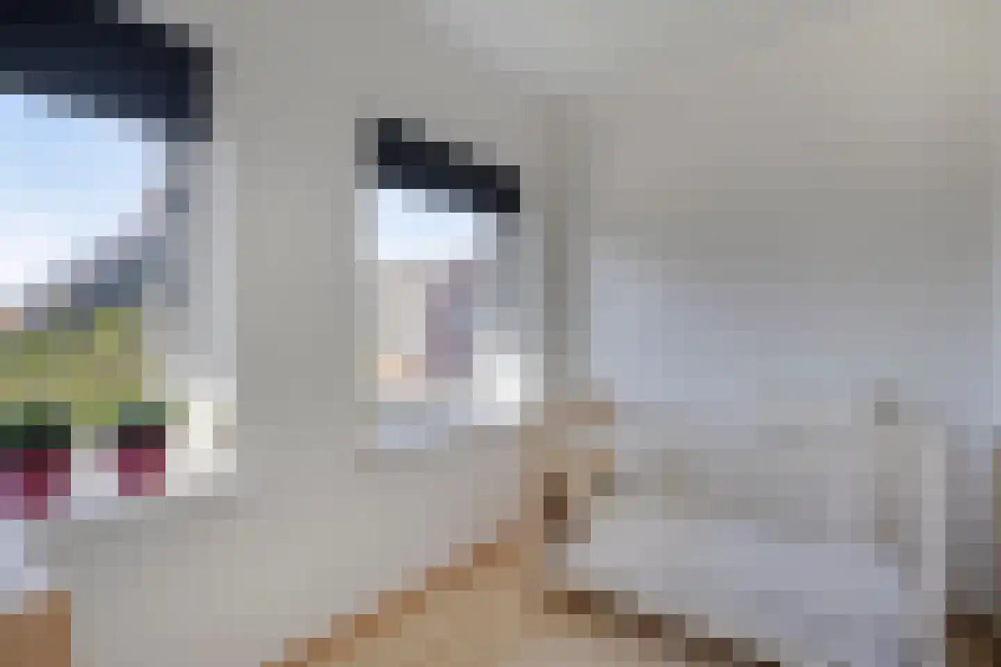 Kerkpad 12 Delden thumbnail 23