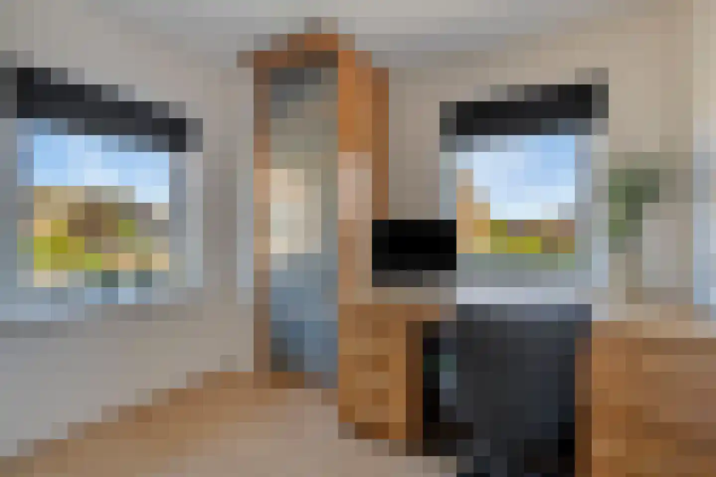 Kerkpad 12 Delden thumbnail 24