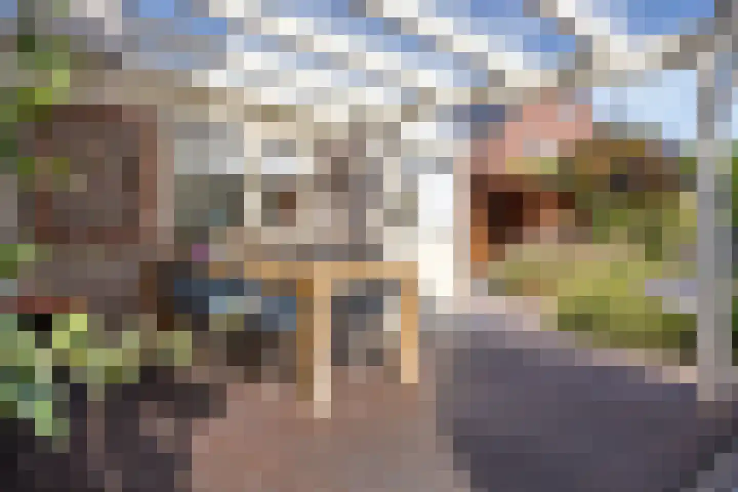 Kerkpad 12 Delden thumbnail 30