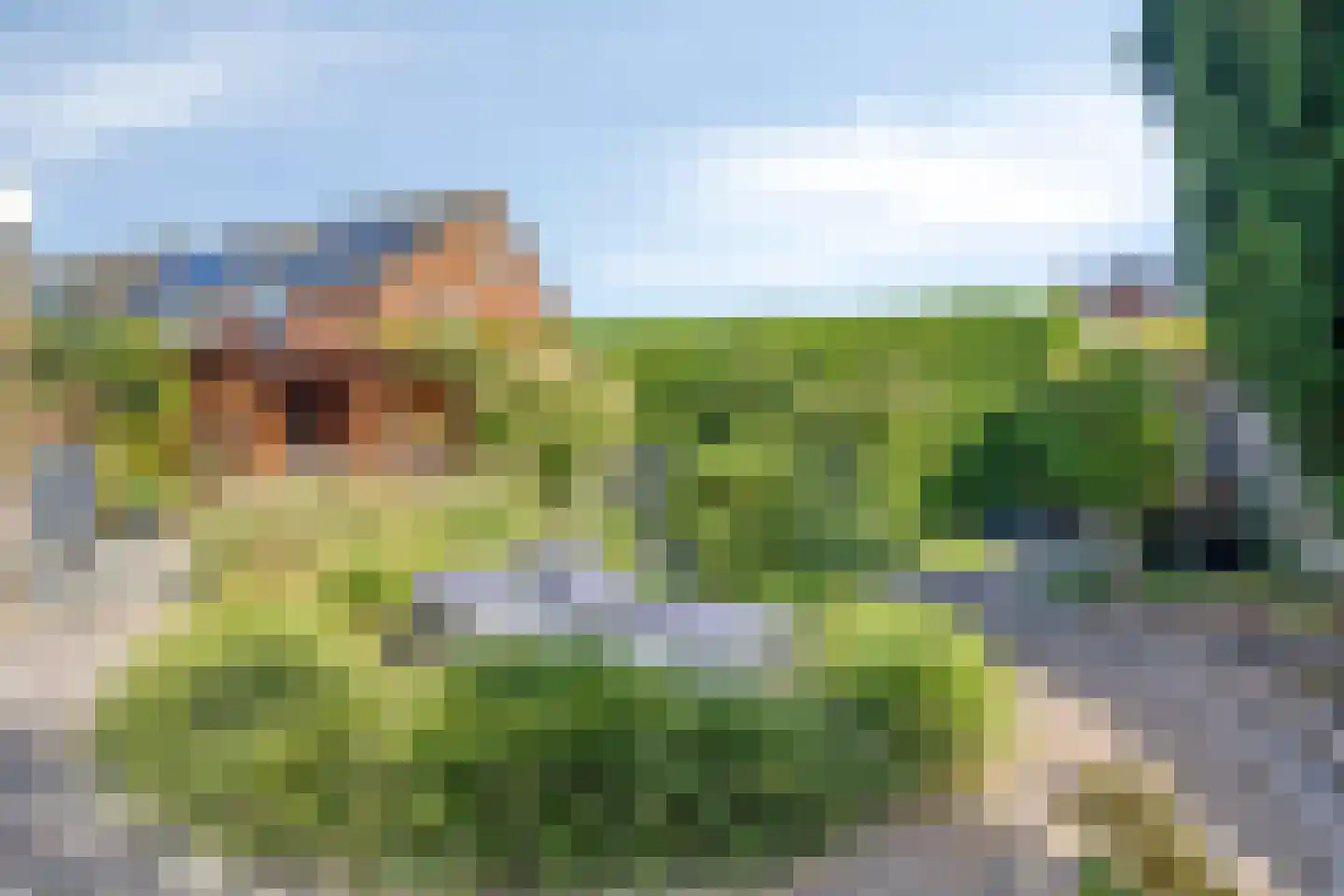 Kerkpad 12 Delden thumbnail 32