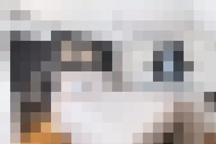 Kerkpad 12 Hallum thumbnail 17
