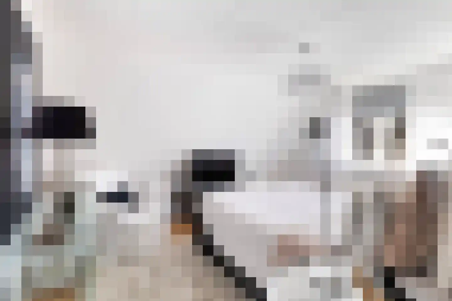 Kerkpad 12 Hallum thumbnail 18