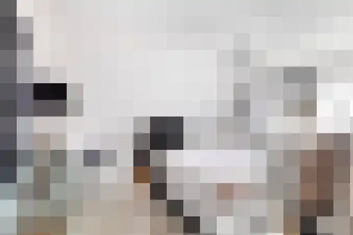 Kerkpad 12 Hallum thumbnail 18