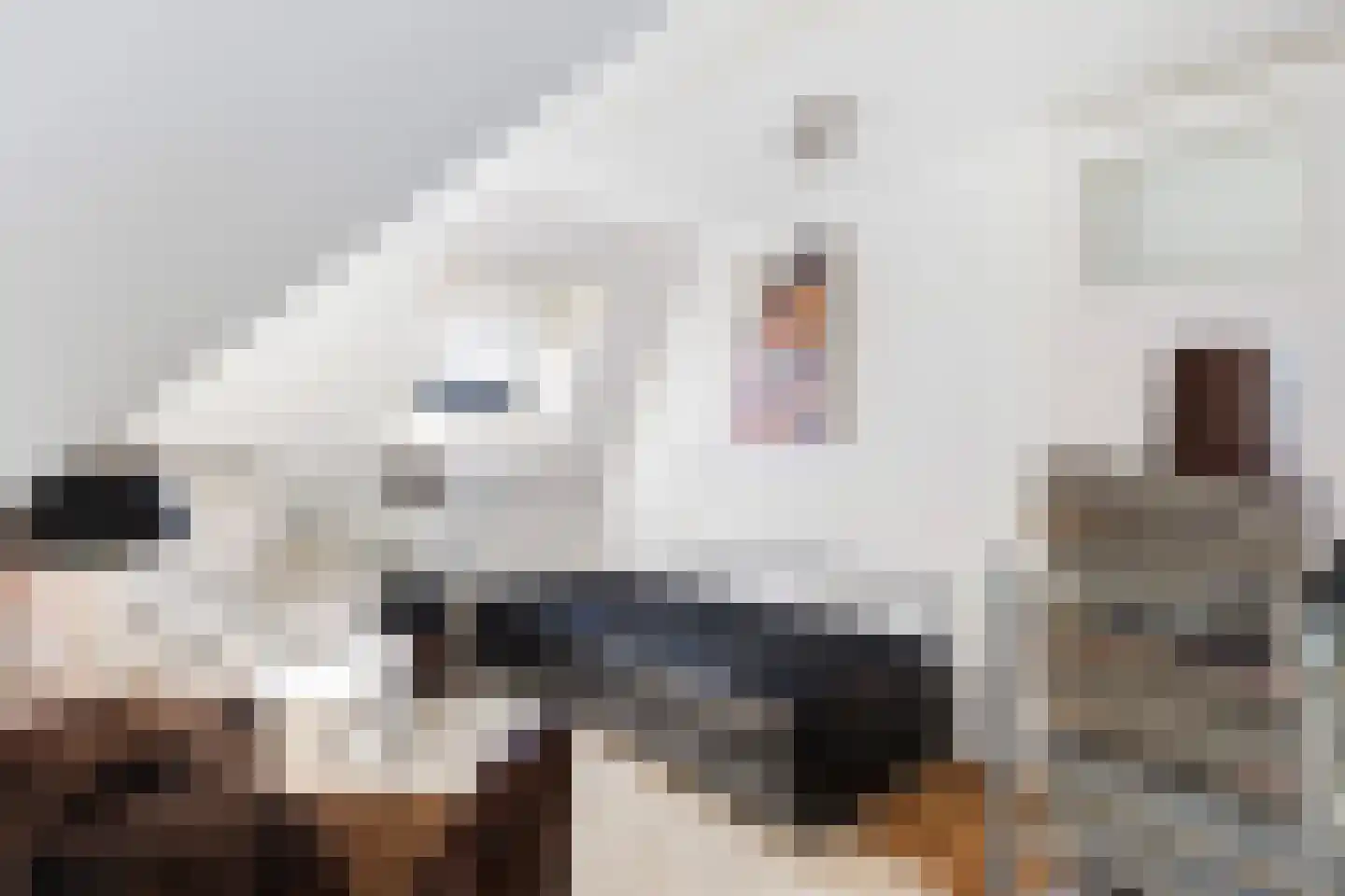 Kerkpad 12 Hallum thumbnail 22