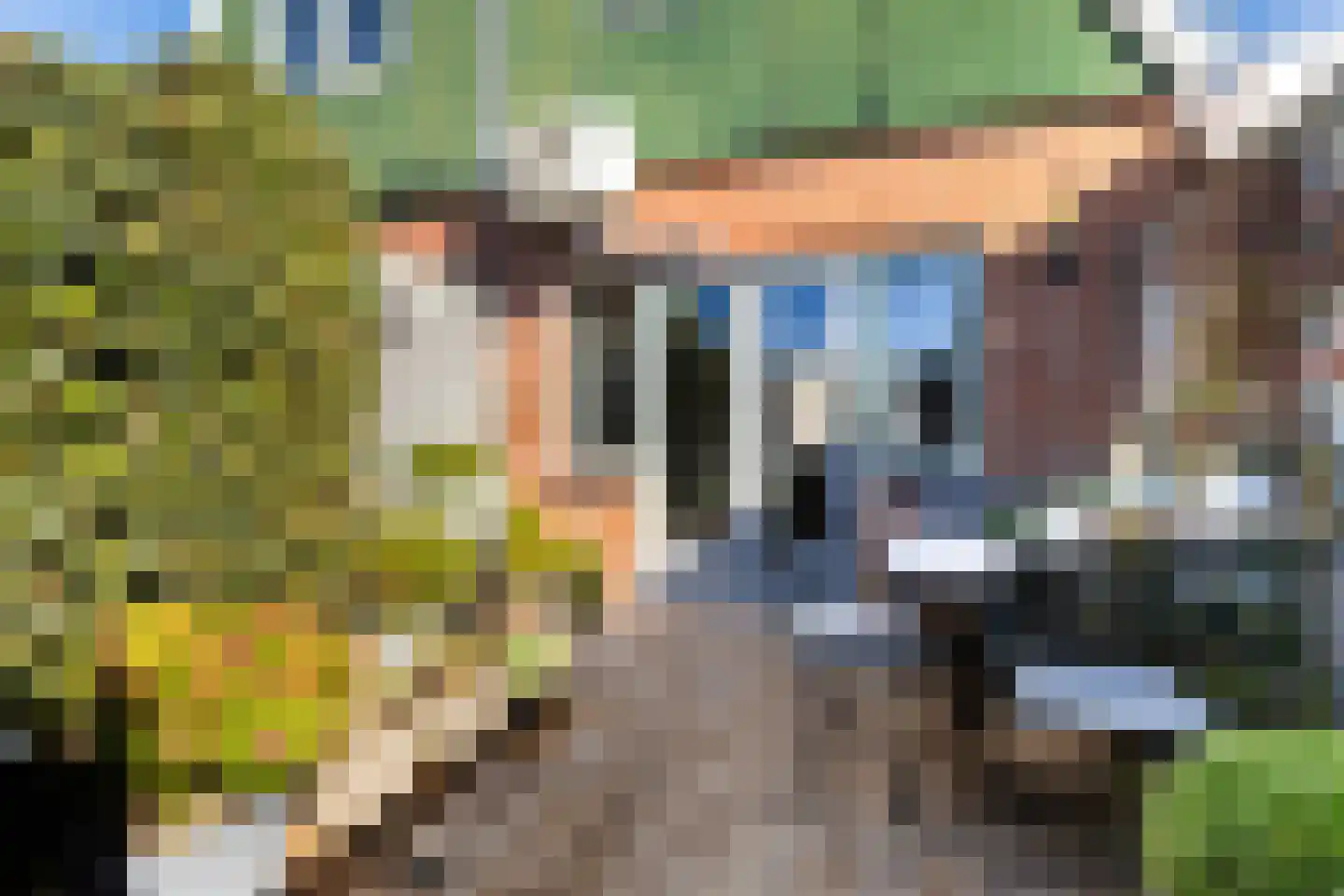 Kerkpad 12 Hallum thumbnail 26