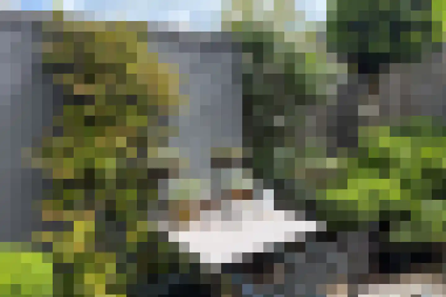Kerkpad 12 Hallum thumbnail 28