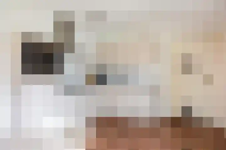 Kerkpad 15 Middelstum thumbnail 19
