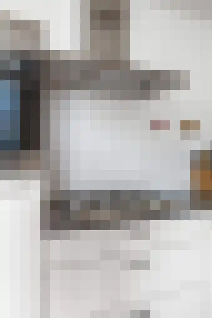 Kerkpad 15 Middelstum thumbnail 21