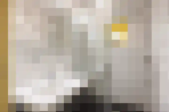 Kerkpad 15 Middelstum thumbnail 33