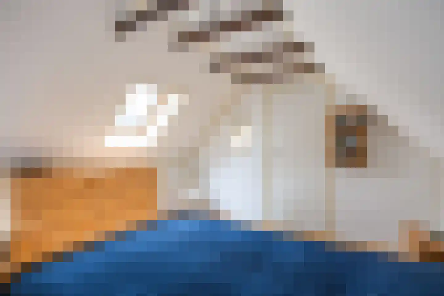Kerkpad 15 Middelstum thumbnail 44
