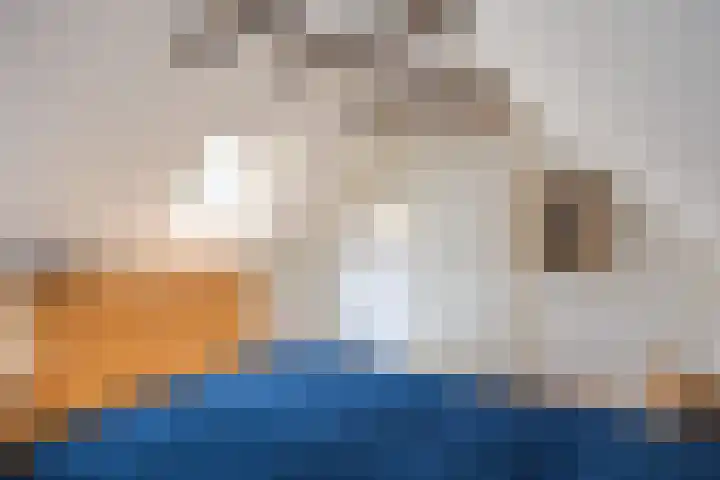 Kerkpad 15 Middelstum thumbnail 44