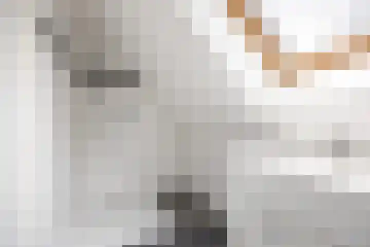 Kerkpad 15 Middelstum thumbnail 46