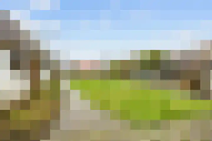Kerkpad 15 Middelstum thumbnail 48