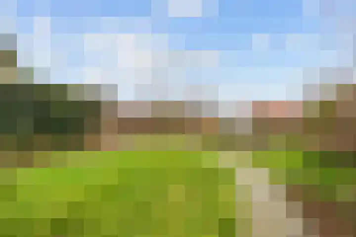Kerkpad 15 Middelstum thumbnail 50