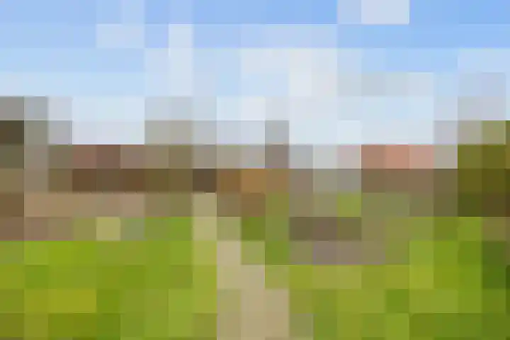 Kerkpad 15 Middelstum thumbnail 51