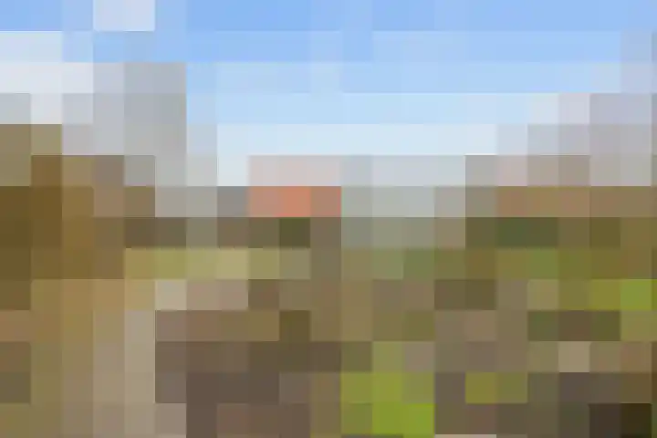 Kerkpad 15 Middelstum thumbnail 52