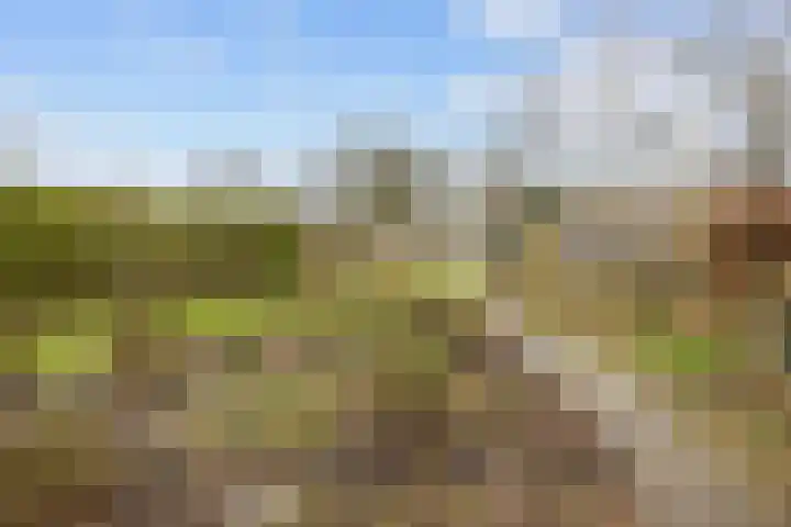 Kerkpad 15 Middelstum thumbnail 53
