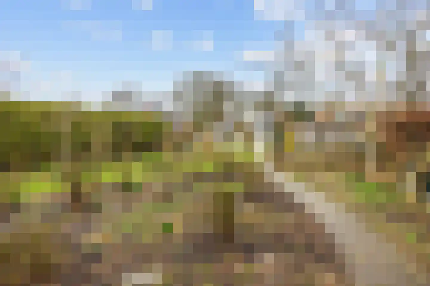 Kerkpad 15 Middelstum thumbnail 53