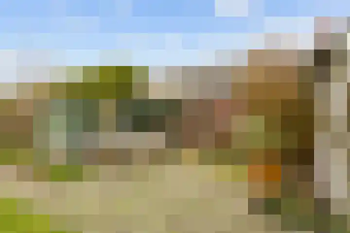 Kerkpad 15 Middelstum thumbnail 56