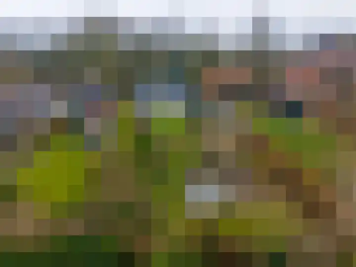 Kerkpad 15 Middelstum thumbnail 59