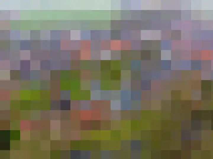 Kerkpad 15 Middelstum thumbnail 60