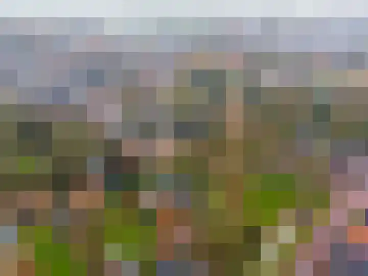 Kerkpad 15 Middelstum thumbnail 61