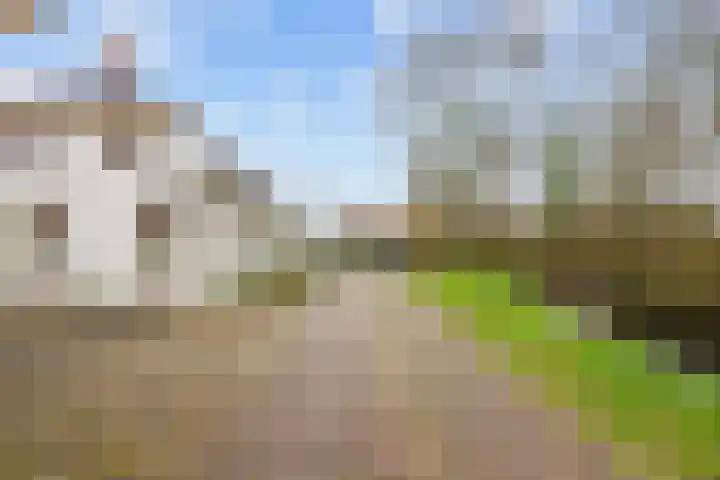 Kerkpad 15 Middelstum thumbnail 7