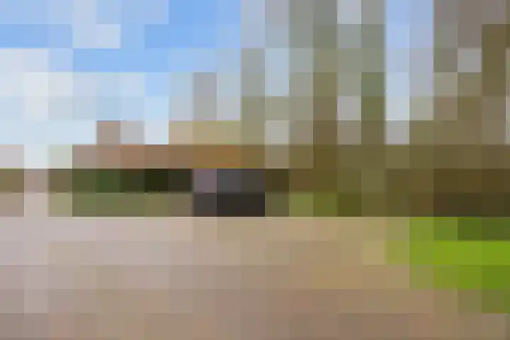 Kerkpad 15 Middelstum thumbnail 8
