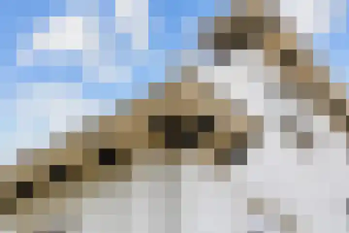 Kerkpad 15 Middelstum thumbnail 9