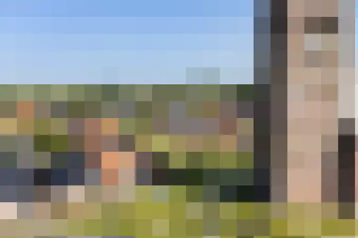 Kerkpad 17 Hallum thumbnail 27