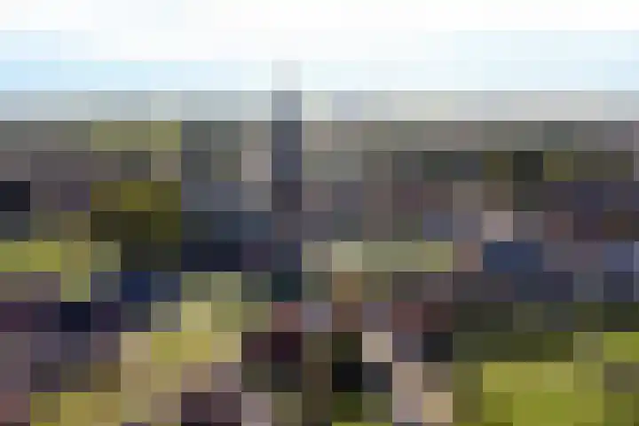 Kerkpad 17 Hallum thumbnail 30