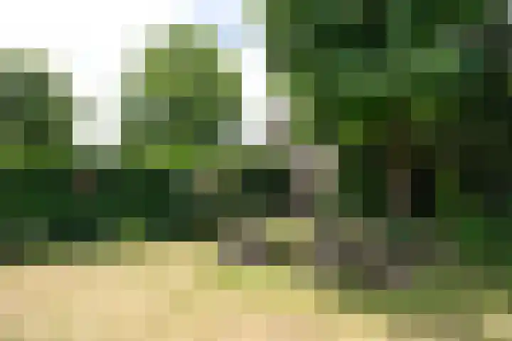 Kerkpad 18 Blaricum thumbnail 15