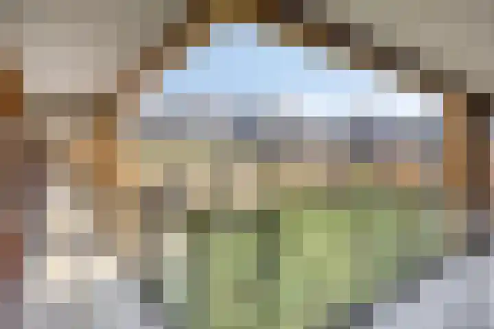 Kerkpad 2 A Monster thumbnail 14