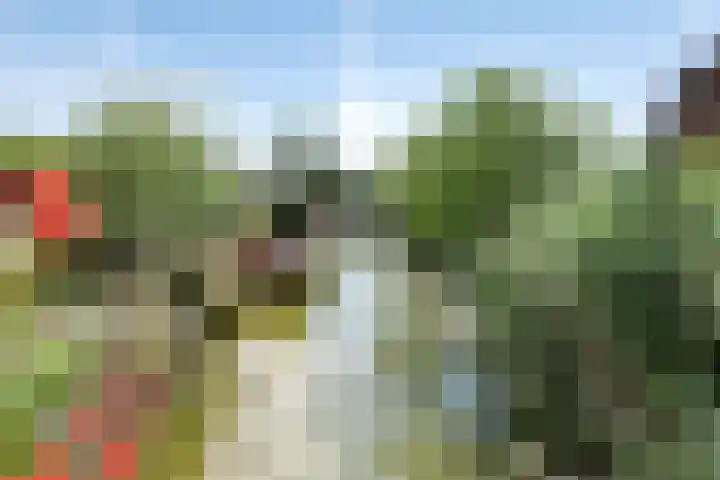 Kerkpad 21 Ter Aar thumbnail 21